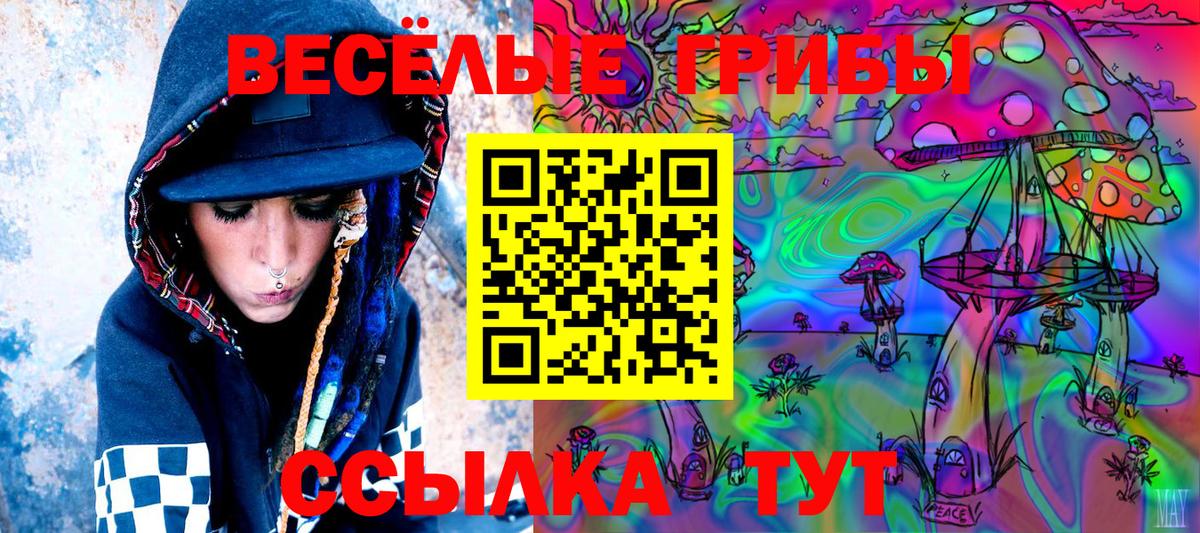 Галлюциногенные грибы Cubensis Братск
